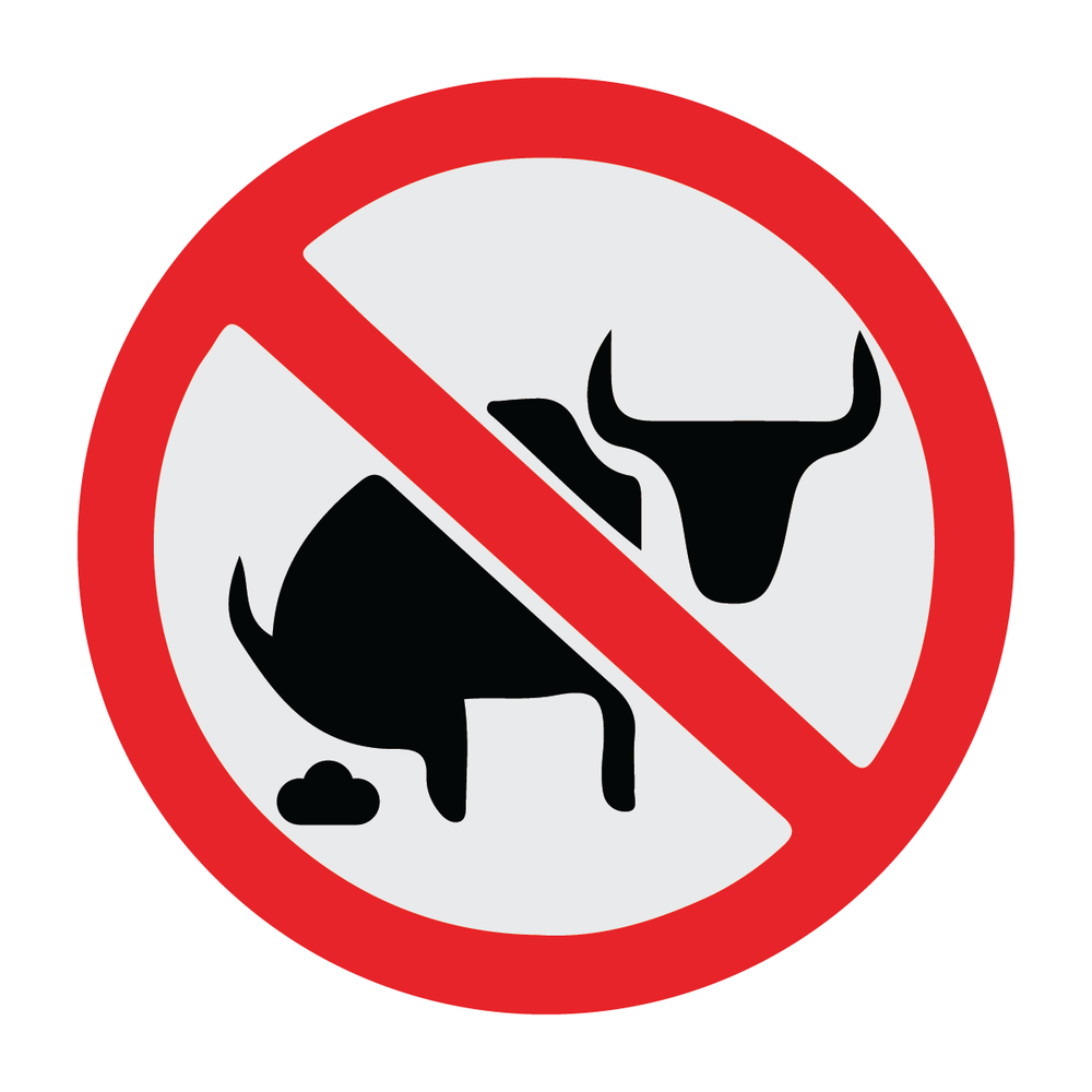 Bull