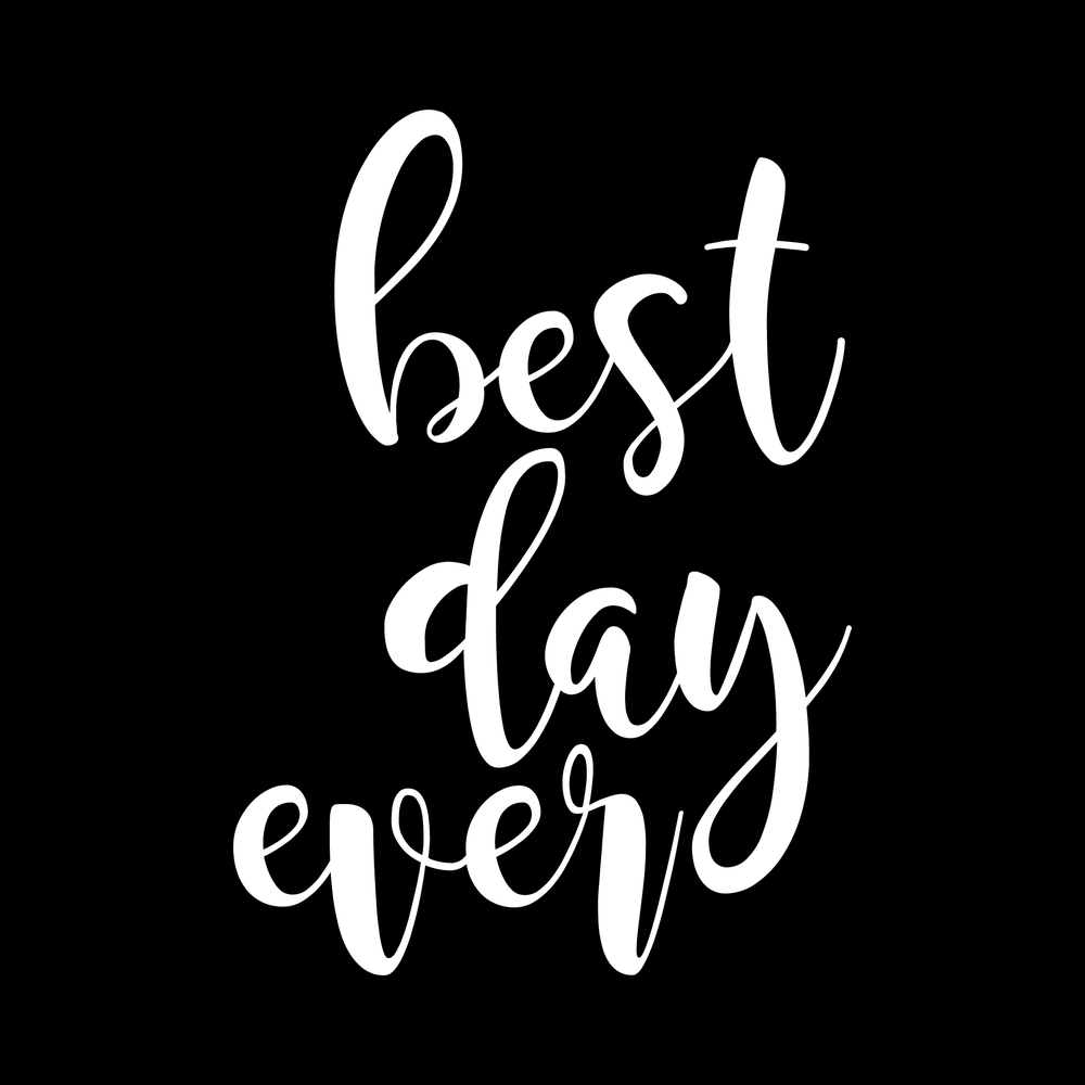 Best Day Ever Vinyl Decal Car Window Laptop Sticker vinyl decal for car window