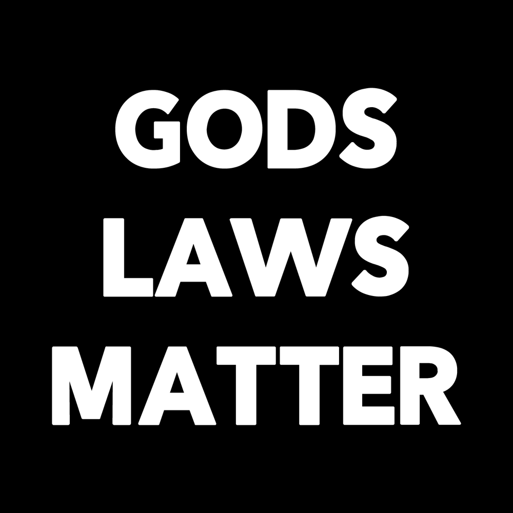 Gods Laws Matter Vinyl Decal Car Window Laptop Sticker vinyl decal for car window