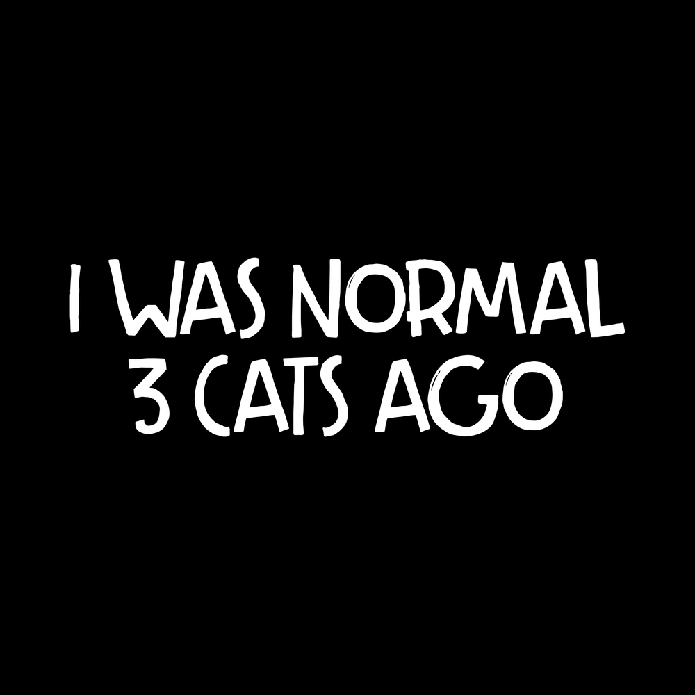 I Was Normal 3 Cats Ago vinyl decal for car window