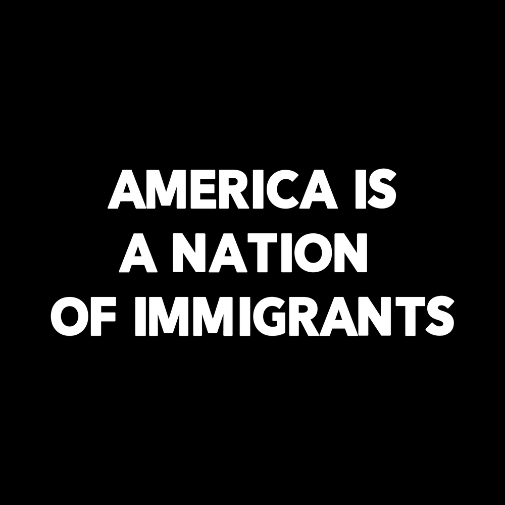 America Is A Nation Of Immigrants decal