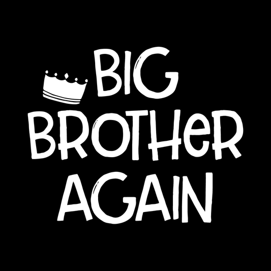 Big Brother Again decal