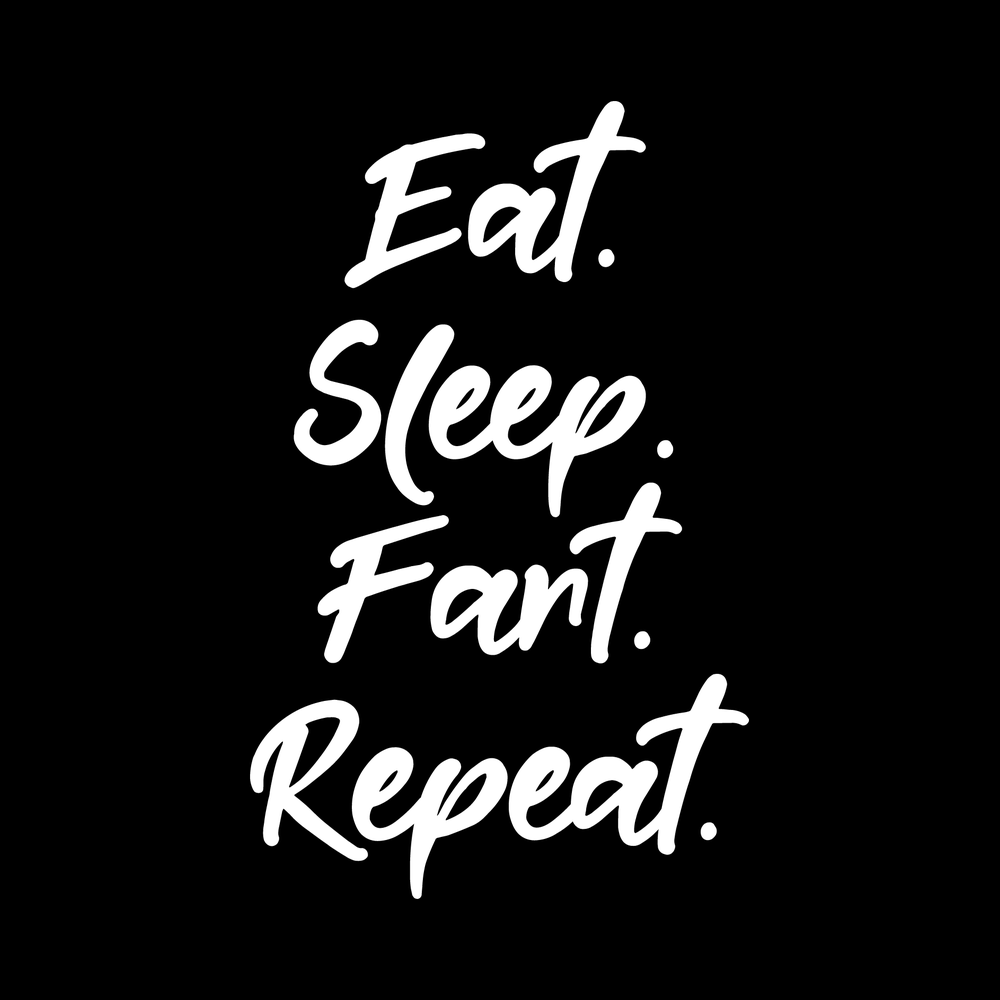 Eat Sleep Fart Repeat decal