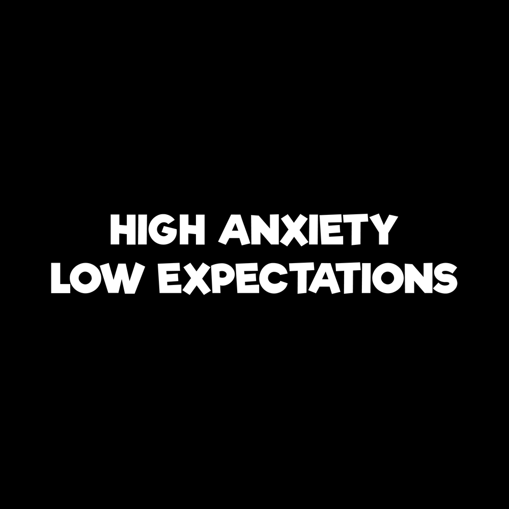 High Anxiety Low Expectations Vinyl Decal Car Window Laptop Sticker vinyl decal for car window