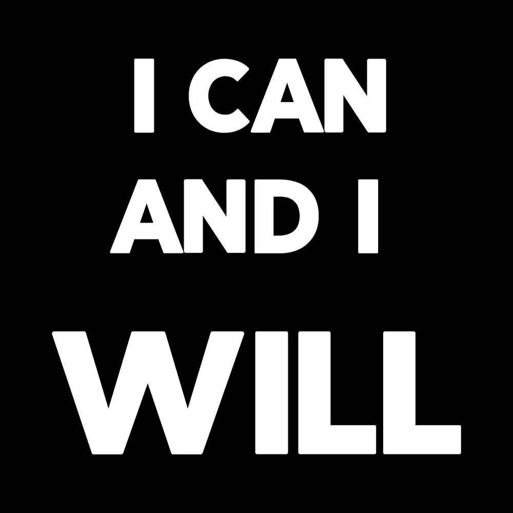 I Can And I Will Vinyl Decal Car Window Laptop Sticker vinyl decal for car window