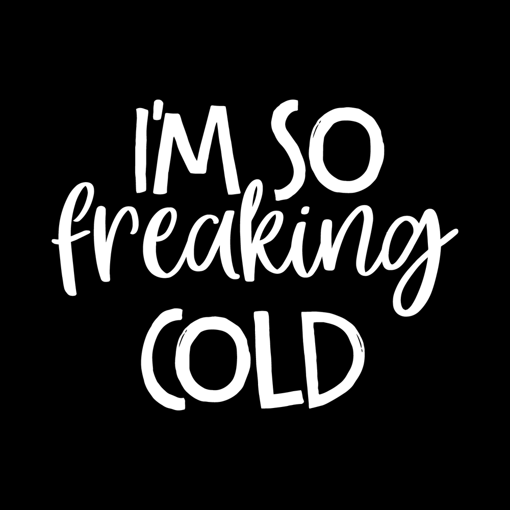 Im So Freaking Cold Vinyl Decal Car Window Laptop Sticker vinyl decal for car window