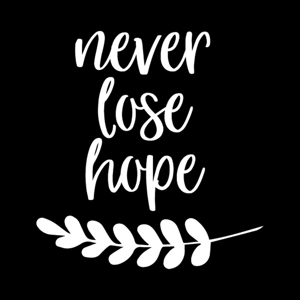 Never Lose Hope decal