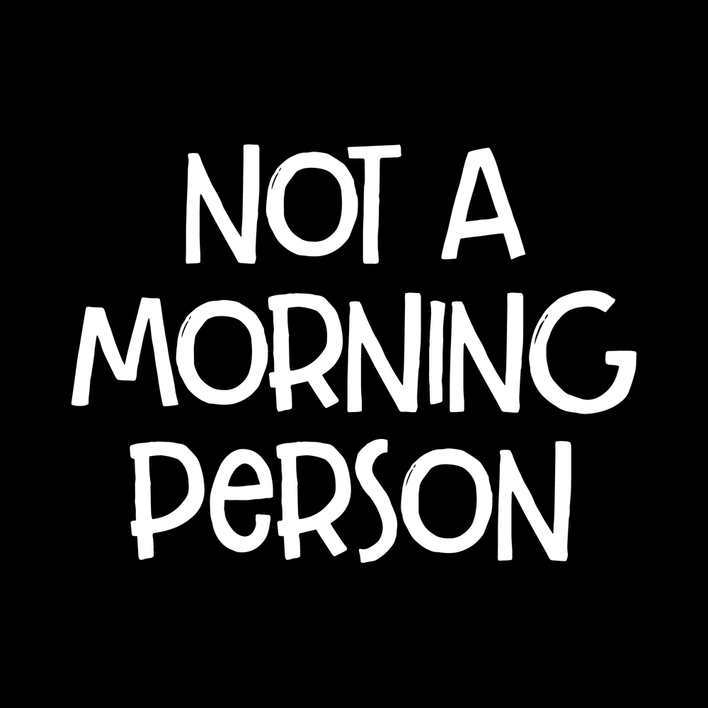 Not A Morning Person Vinyl Decal Car Window Laptop Sticker vinyl decal for car window