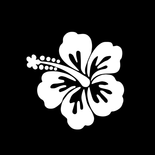 Taíno Symbol Coquí Star decal