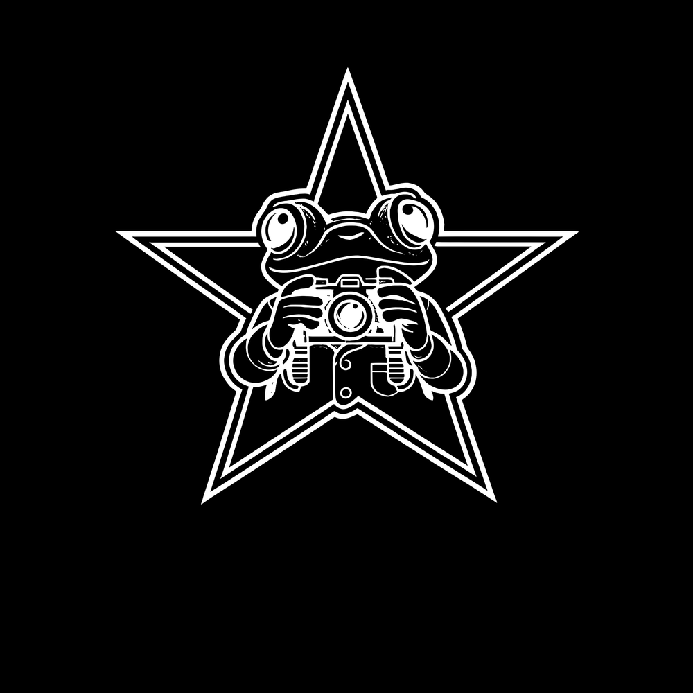 Frog Star Camera decal