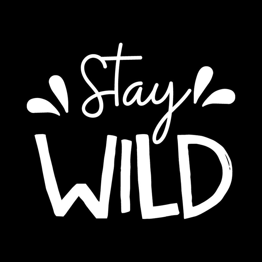 Stay Wild decal