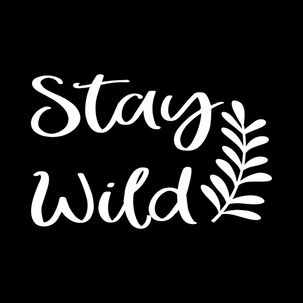 Stay Wild decal