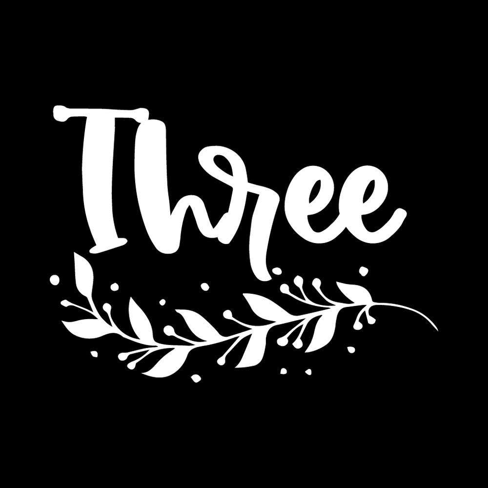Three Vinyl Decal Car Window Laptop Sticker vinyl decal for car window