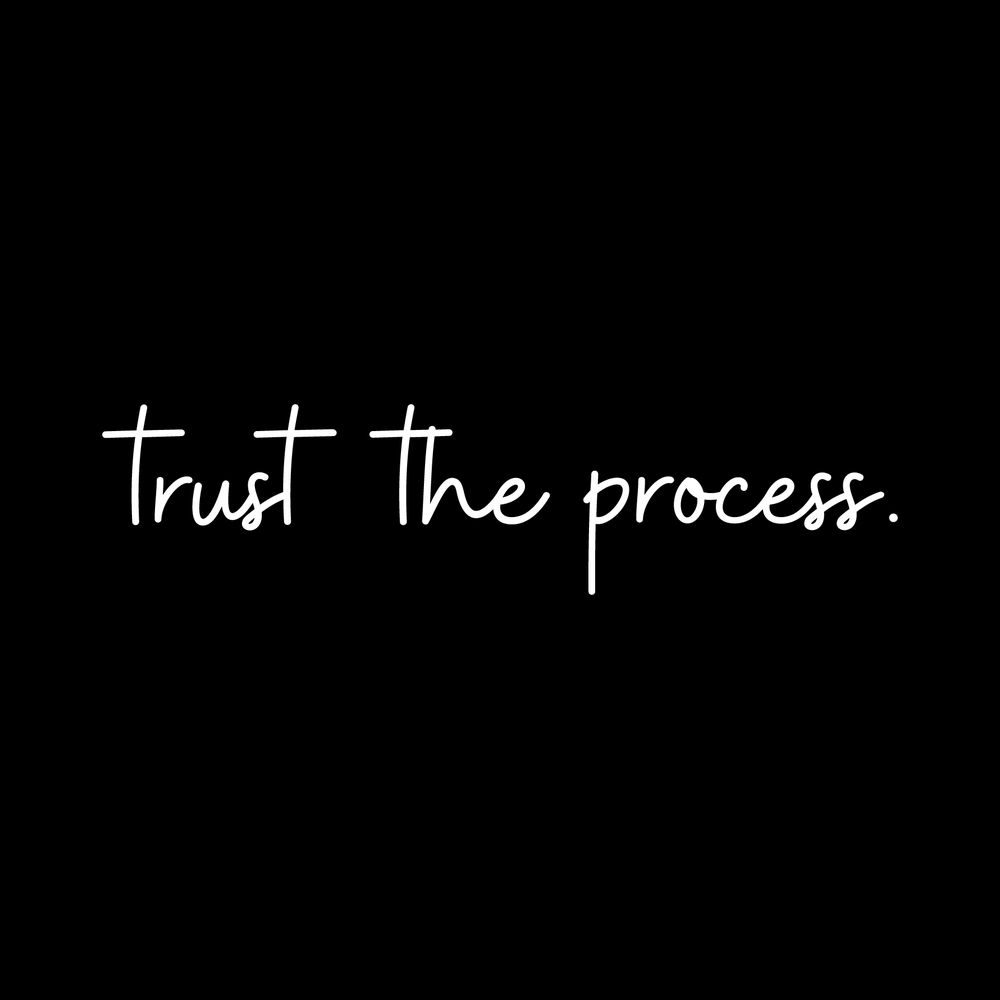 Trust The Process Vinyl Decal Car Window Laptop Sticker vinyl decal for car window