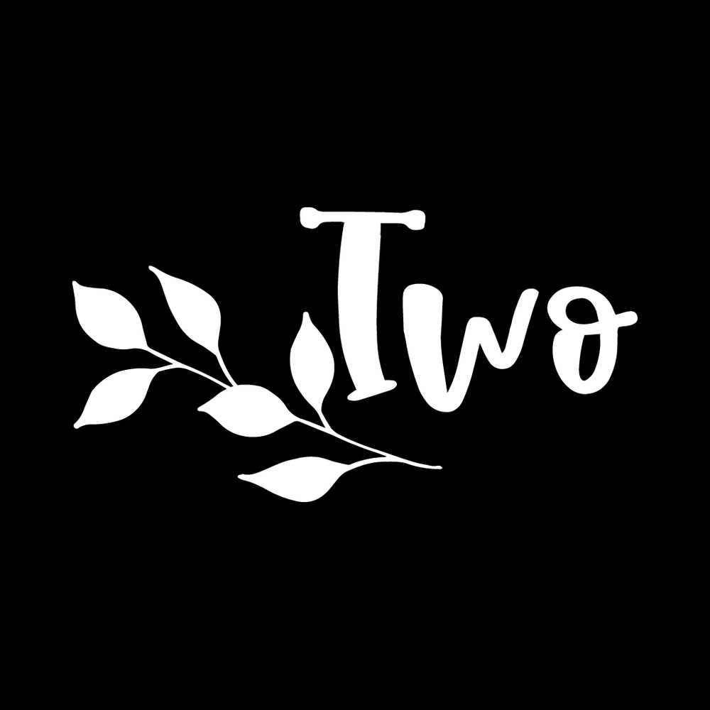 Two Vinyl Decal Car Window Laptop Sticker vinyl decal for car window